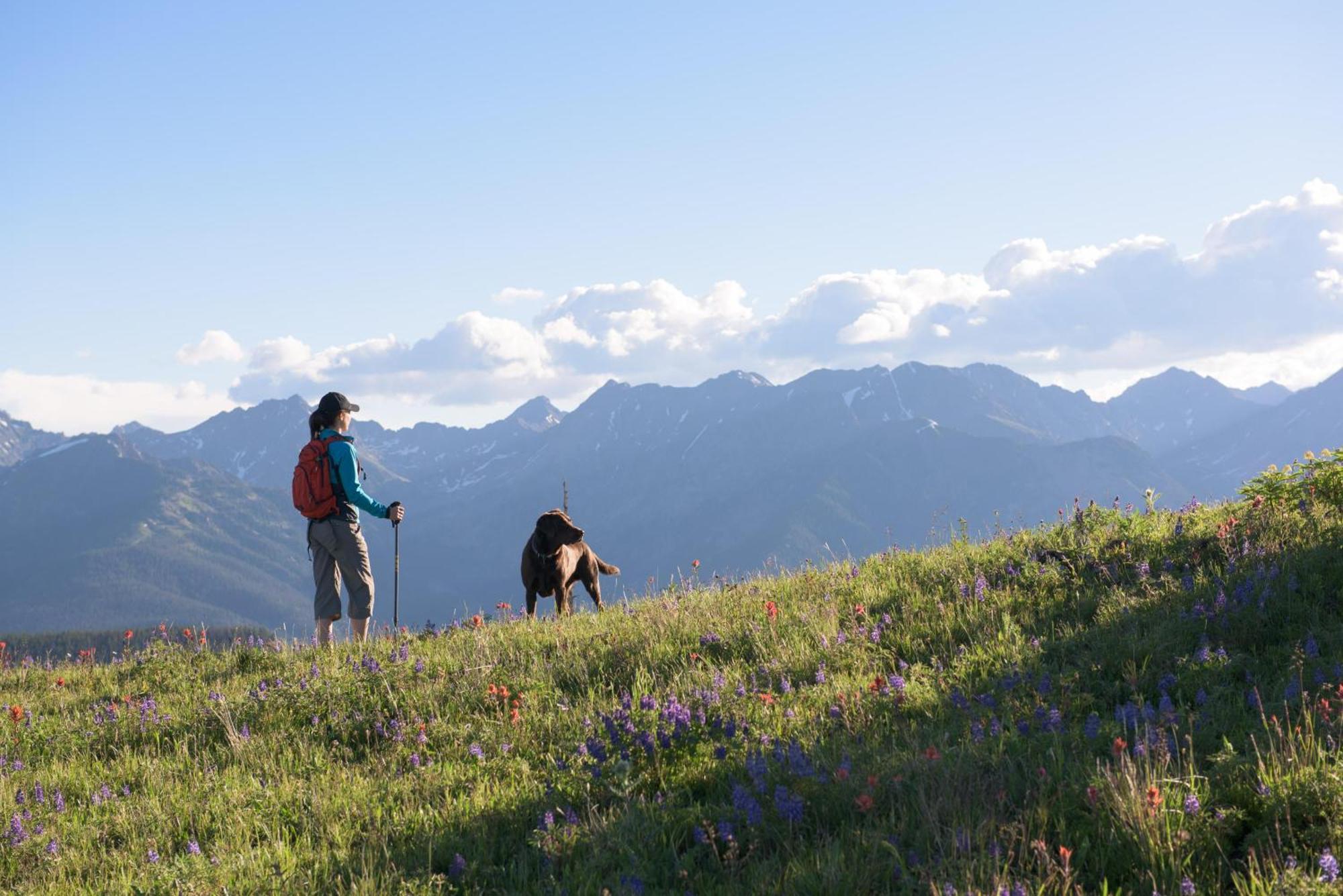 Lift House Lodge, Vail Lionshead Studio Condo, Walk To Gondola Экстерьер фото